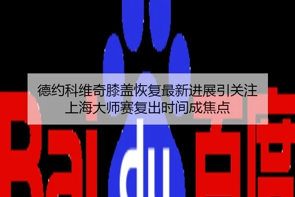 德约科维奇膝盖恢复最新进展引关注 上海大师赛复出时间成焦点